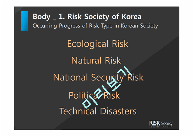 Risk Society   (8 )